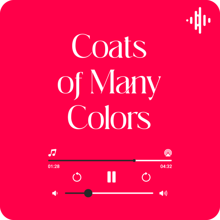 Coats of Many Colors Lyrics Brandon Lake